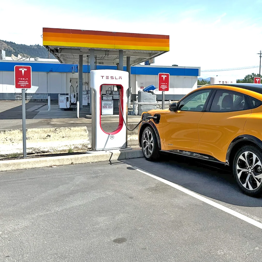Ranchero EV Pickup Truck First Sight!! $30k midsize EV pickup Ranchero prototype spied 📸 tesla-v3