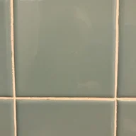cockroach