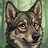 graycorgi